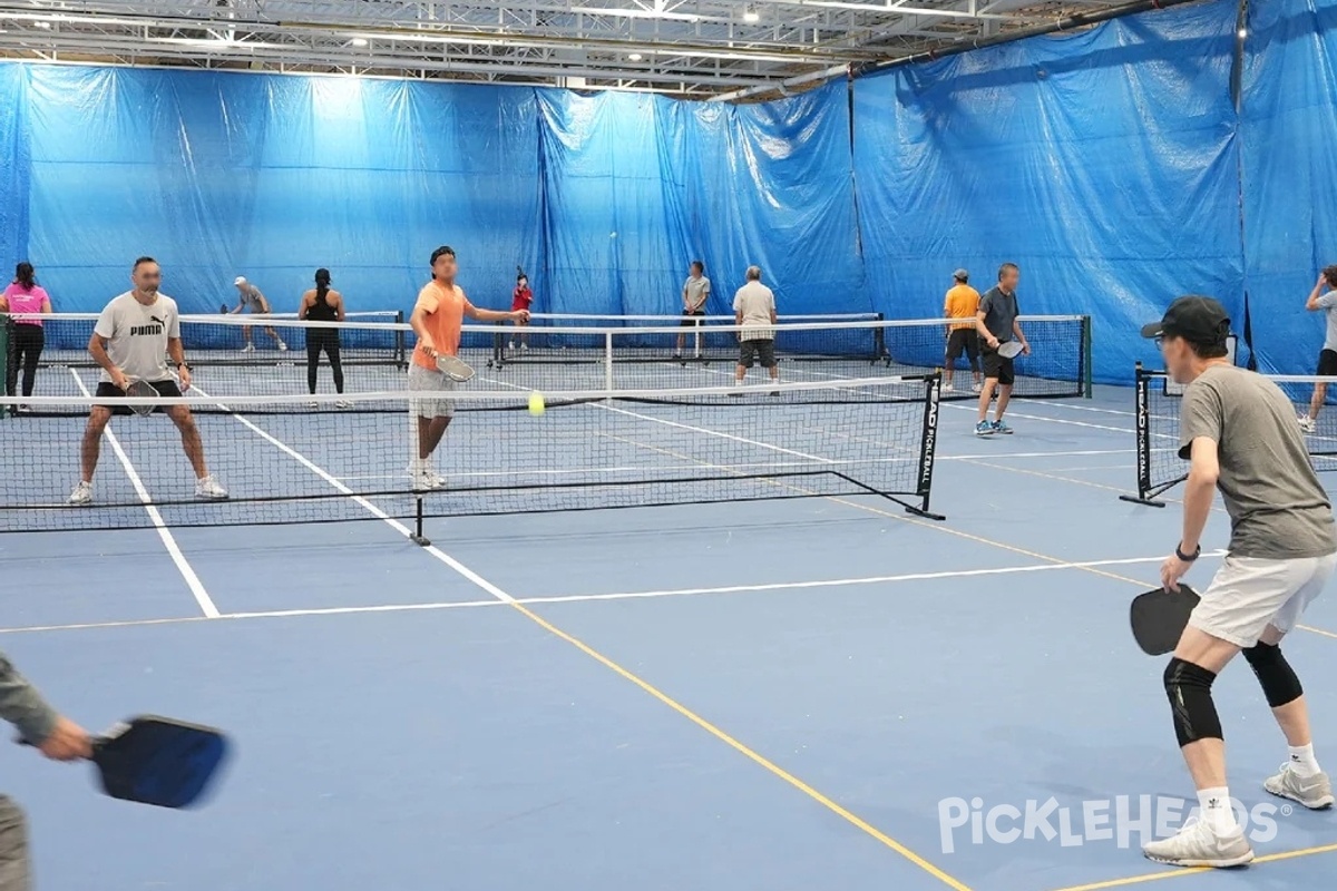 Photo of Pickleball at RacquetGuys